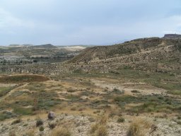 Cerro de la Almagra 2004